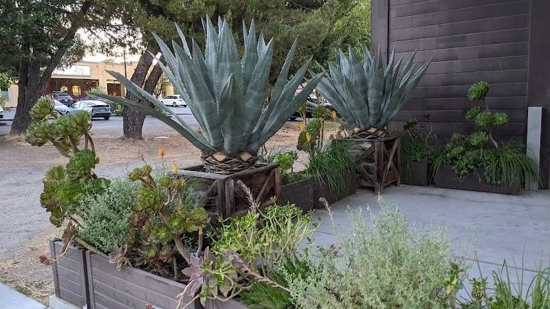 Avanté Plumbing working in Sebastopol, California