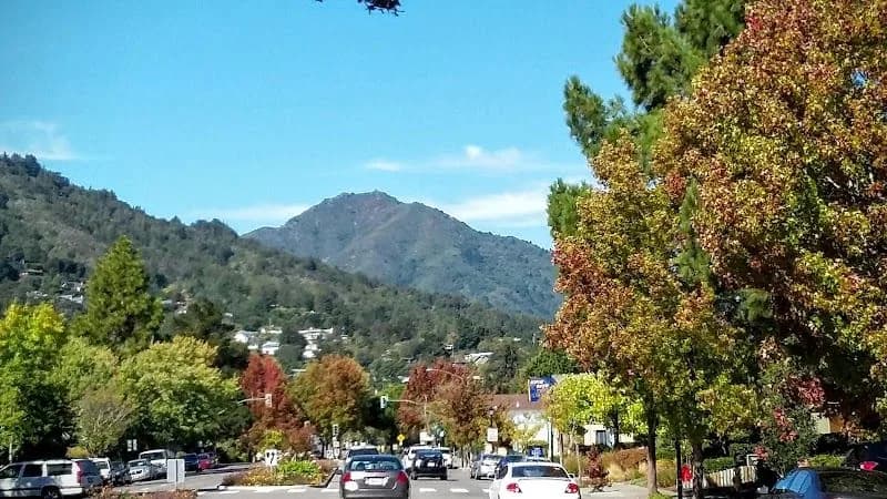 Avanté Plumbing working in Corte Madera, California